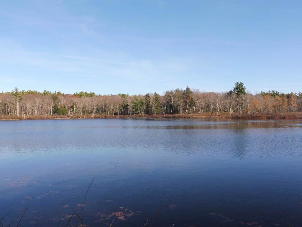 47 Watatic Pond Rd - Photo 1