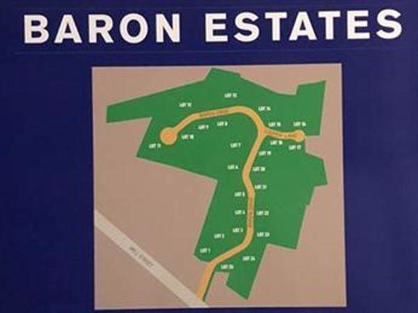 lot 26 Baron Drive - Photo 1 lot 26 Baron Drive - Photo 1