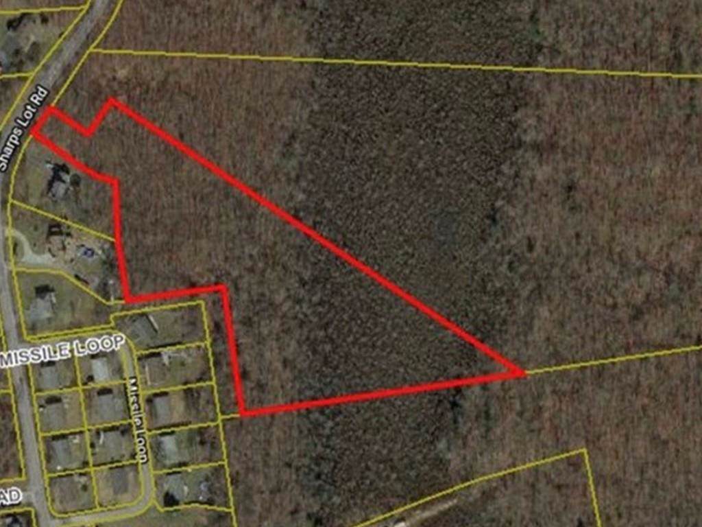 Lot 10-2 Sharps Lot Road - Photo 1