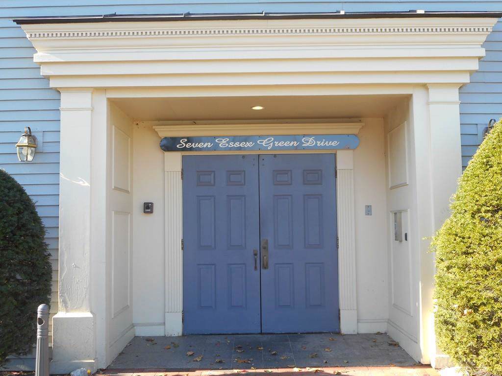 7 Essex Green Drive - Photo 1