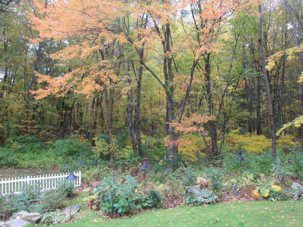 477 Amesbury Rd - Photo 1