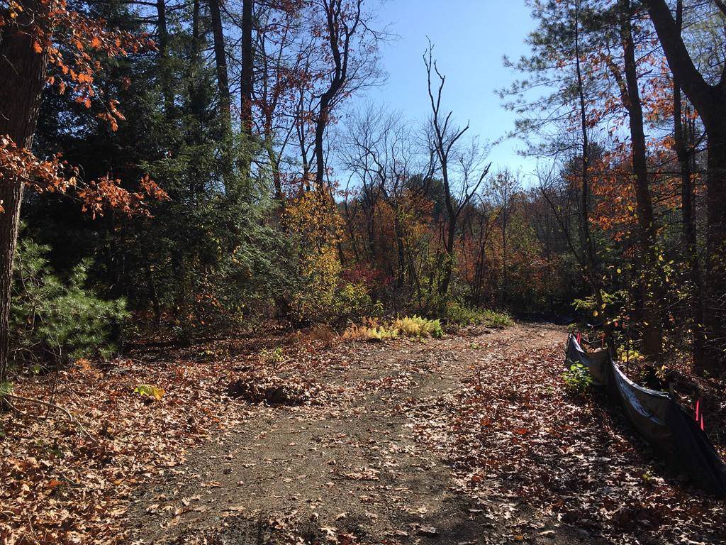 0 Fairbank - Photo 1