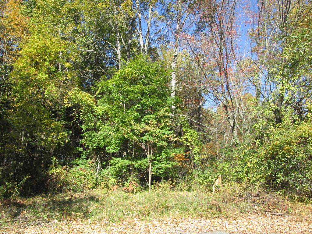1089 Broadway Road - Photo 1