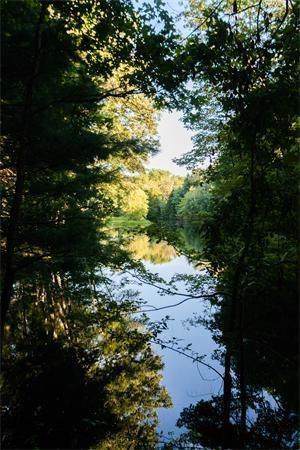 6A Nut Meadow Xing - Photo 1