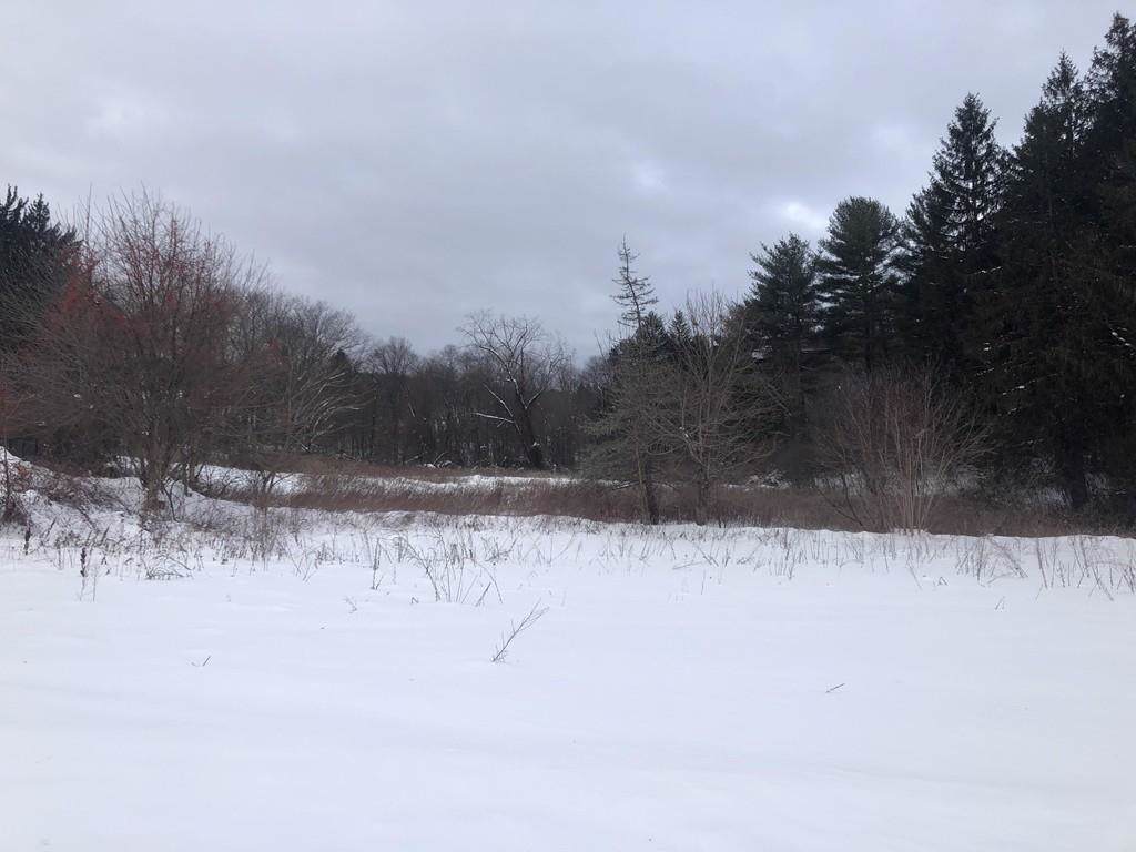 Lot 152 W River St - Photo 1