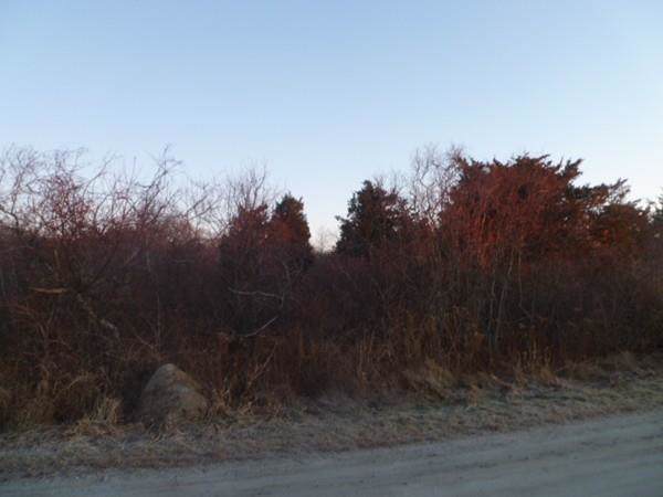 1 Island View Road - Photo 1