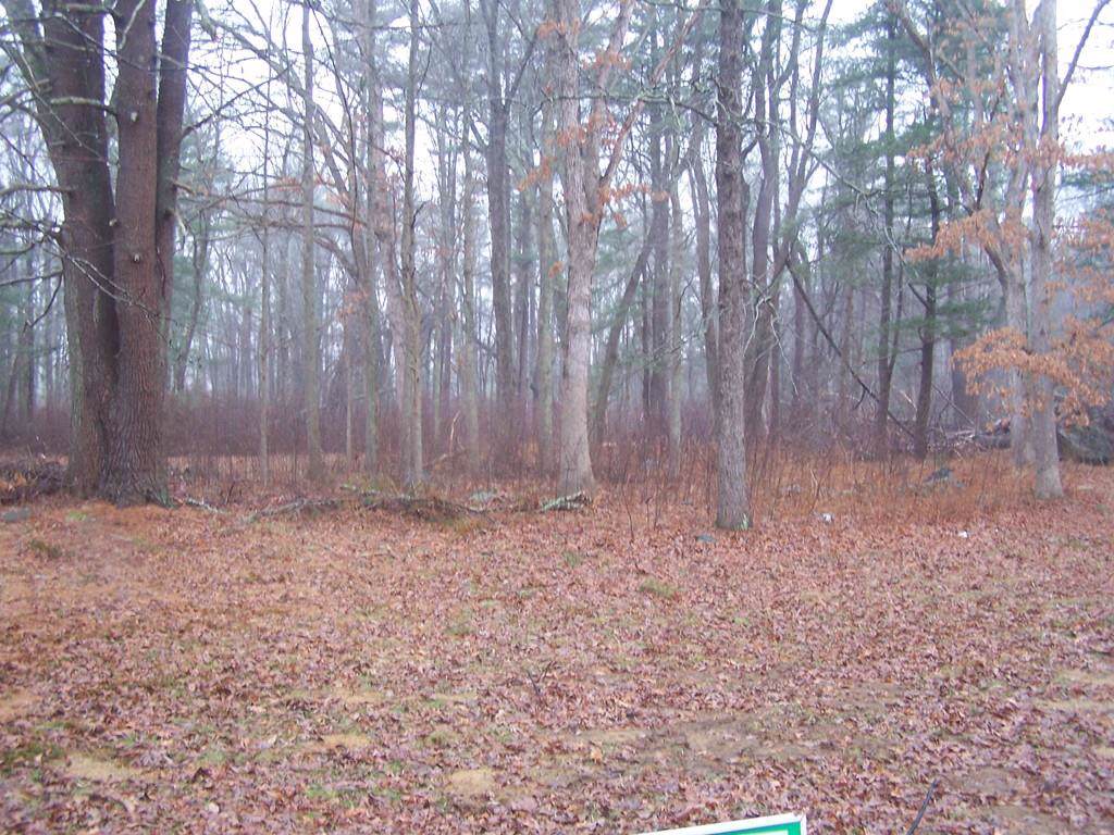 lot 3 Forest Street - Photo 1