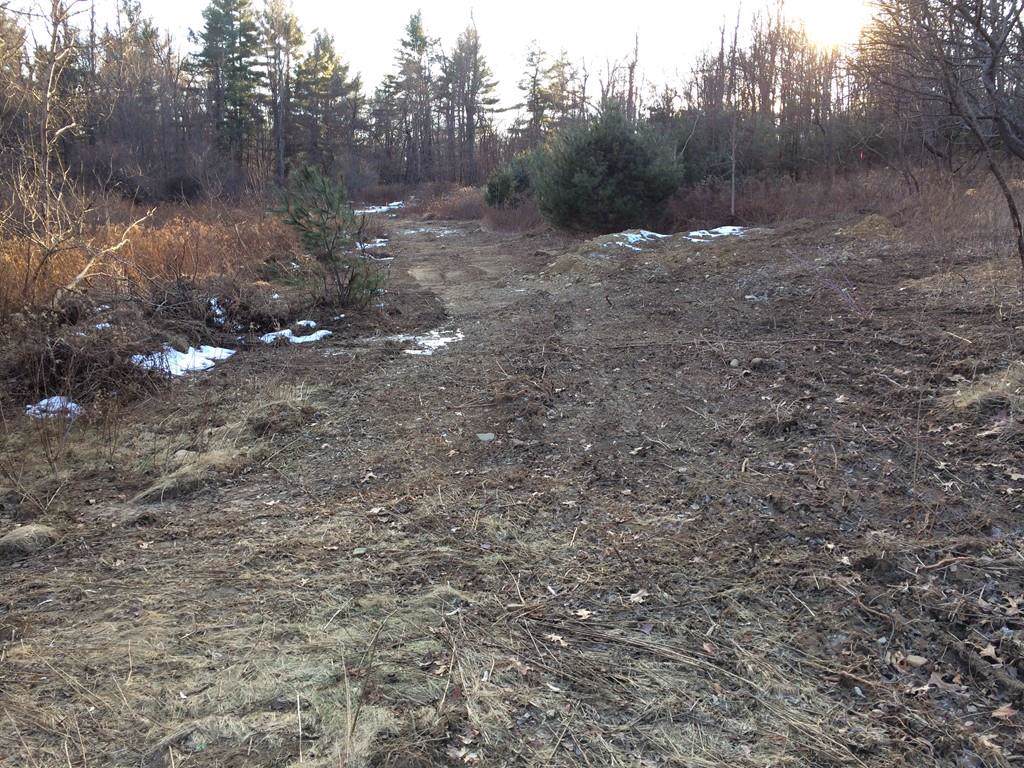 238 South Row - Photo 1