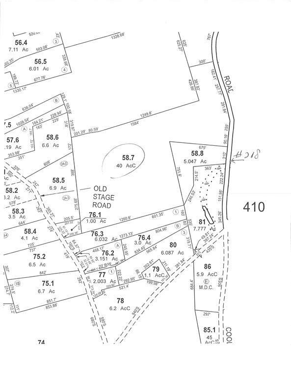 0 Cooleyville Road - Photo 1