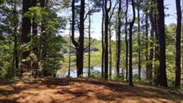 3-9 Hemlock Lane - Photo 1