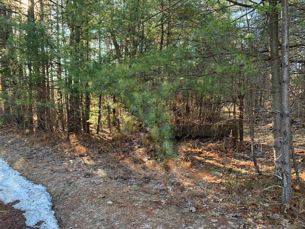 0 Cottage Ln - Photo 1