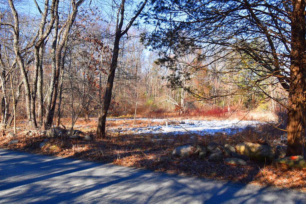 Lot 1 - 96 Reynolds Avenue - Photo 1