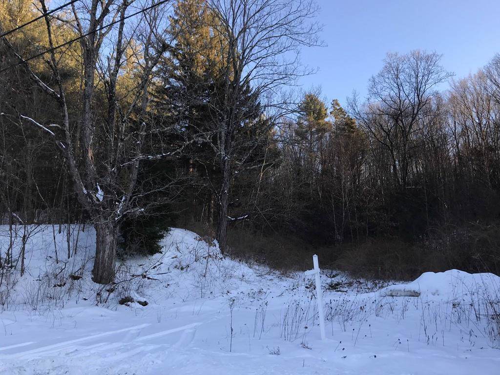 46 Dry Hill Rd - Photo 1