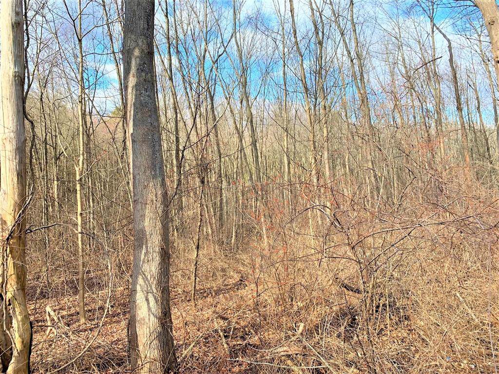 00 Suffield St (Off) - Photo 1