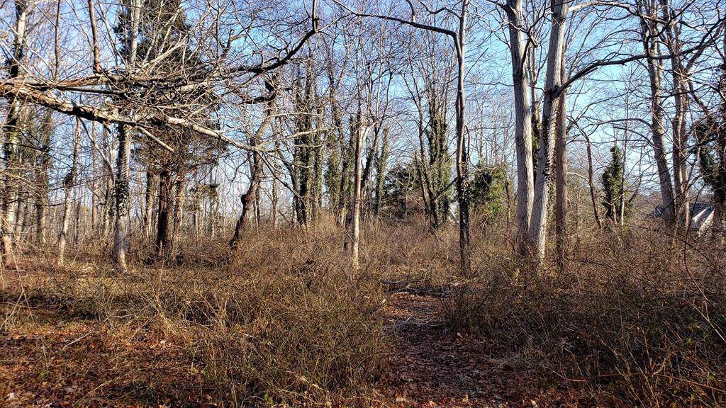 0 Loon Ln. - Photo 1