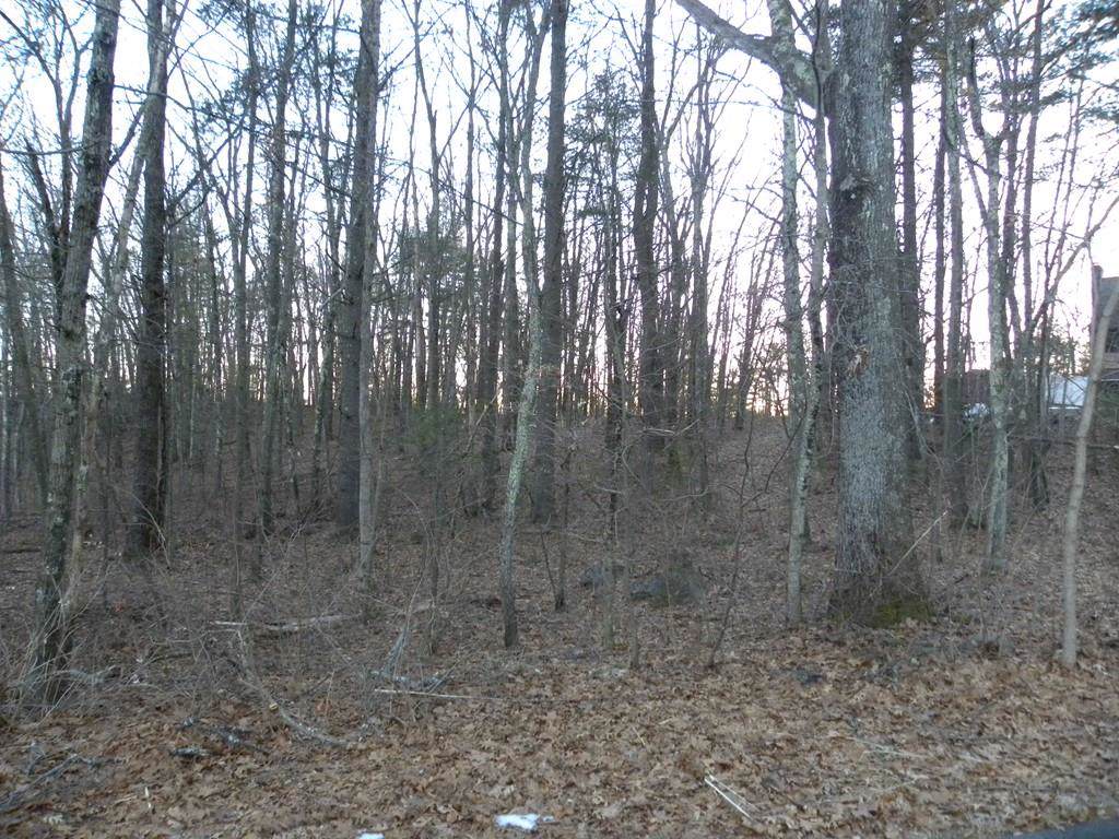 0 Longview Street - Photo 1