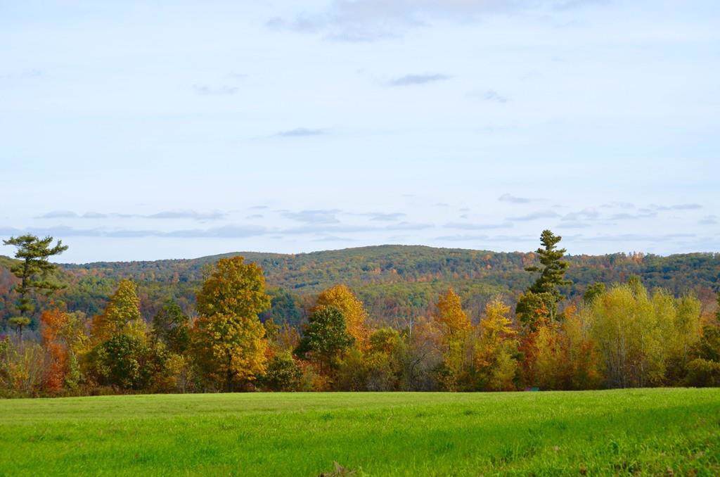 Lot A Paige Hill - Photo 1