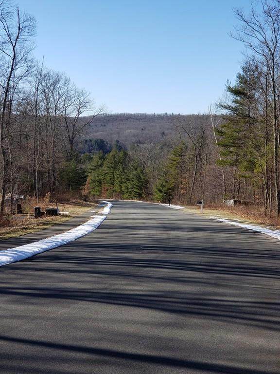 Lot 8 Coldbrook Dr - Photo 1