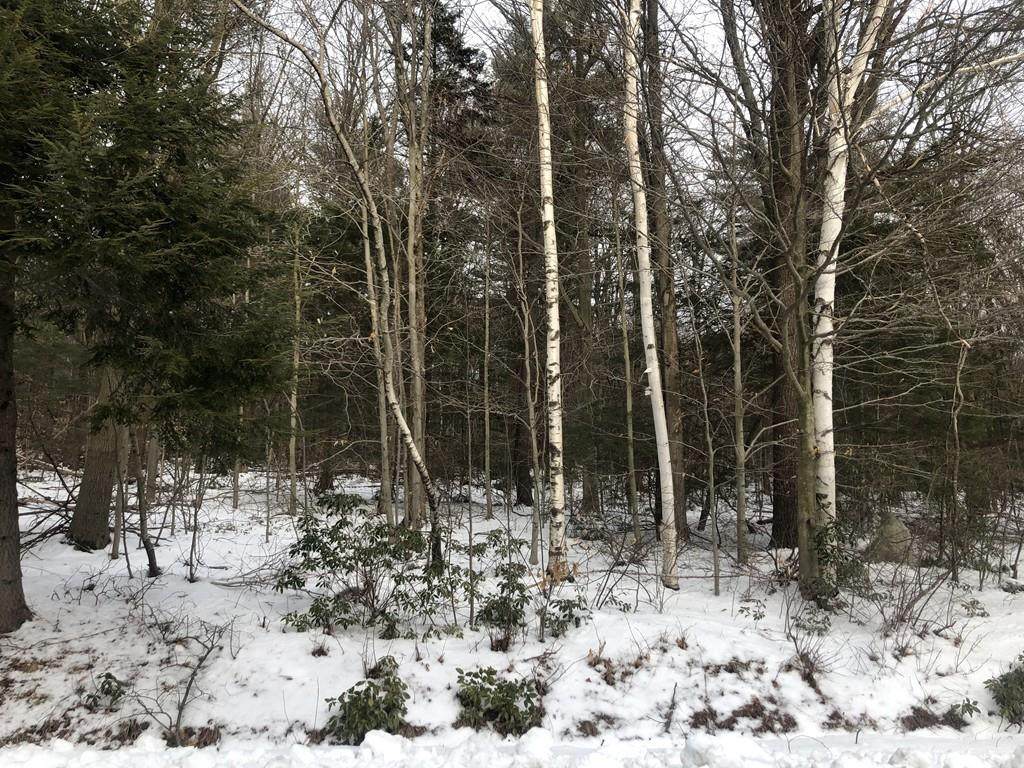 0 Birch Cir - Photo 1