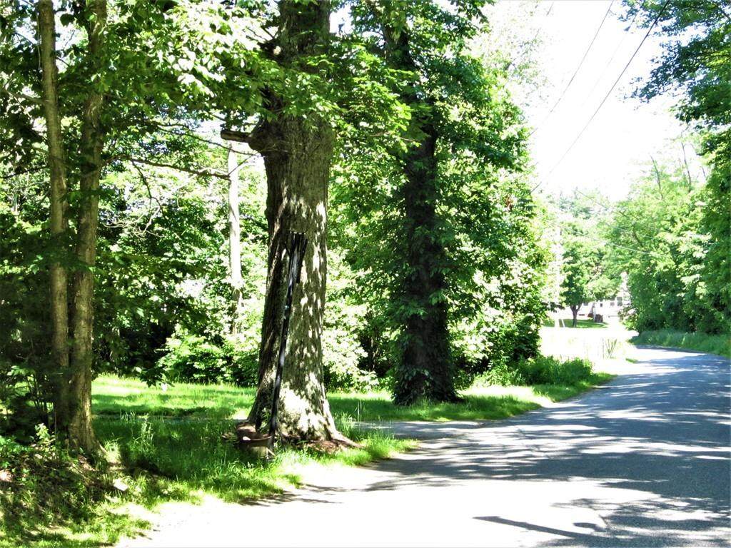 Lot 48 Coffey Hill - Map 19 - Lot 48 - Photo 1