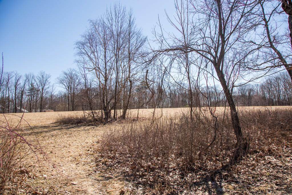 Lot 10 Queen Lake Rd - Photo 1