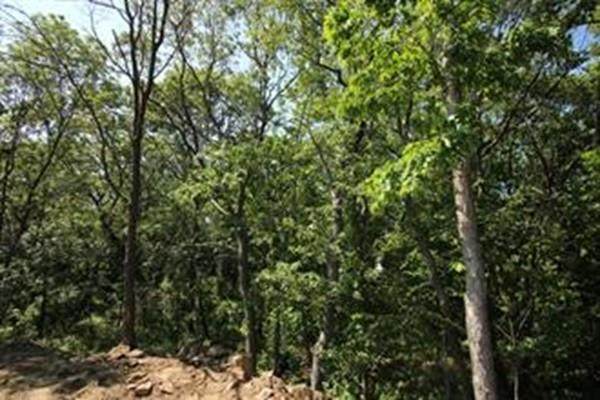 39 Granite Street - Photo 1