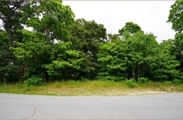 102 Adamsdale Ave - Photo 1