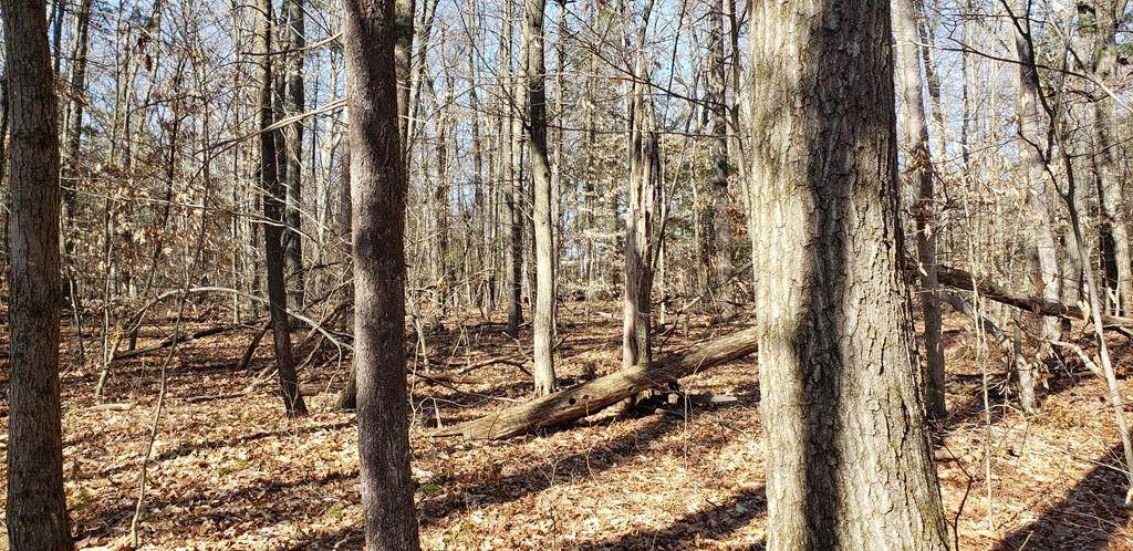 0-A Butler Rd - Photo 1