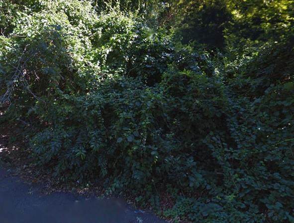 0 Bonneau Ave - Photo 1