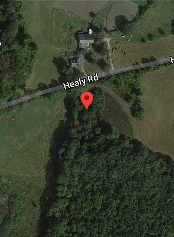 Lot 80 Healy Rd - Photo 1