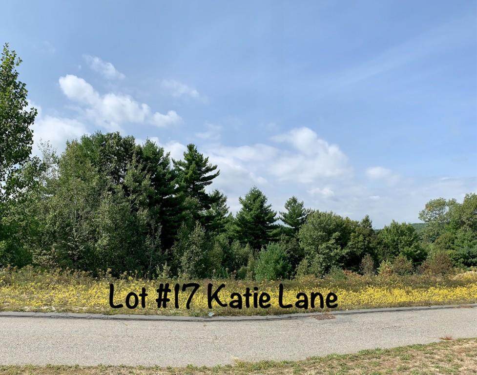 Lot 17 Katie Lane - Photo 1