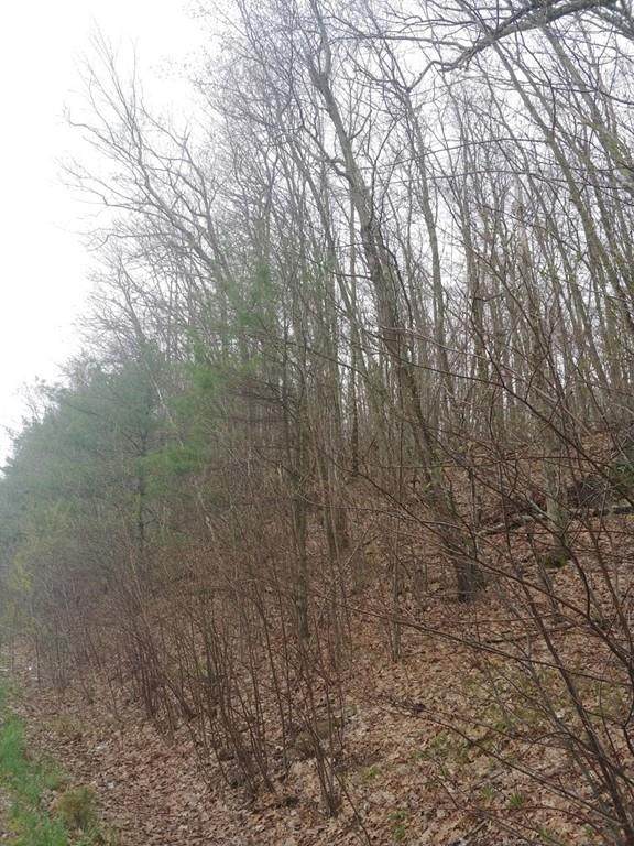 0 W Warren Rd - Photo 1