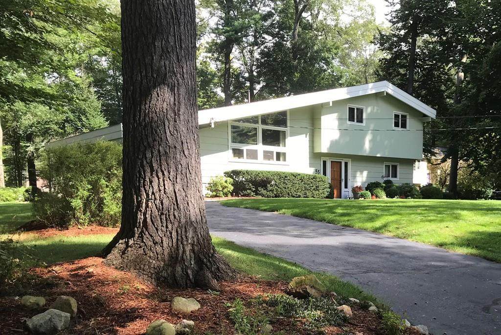 55 Walnut Street - Photo 1
