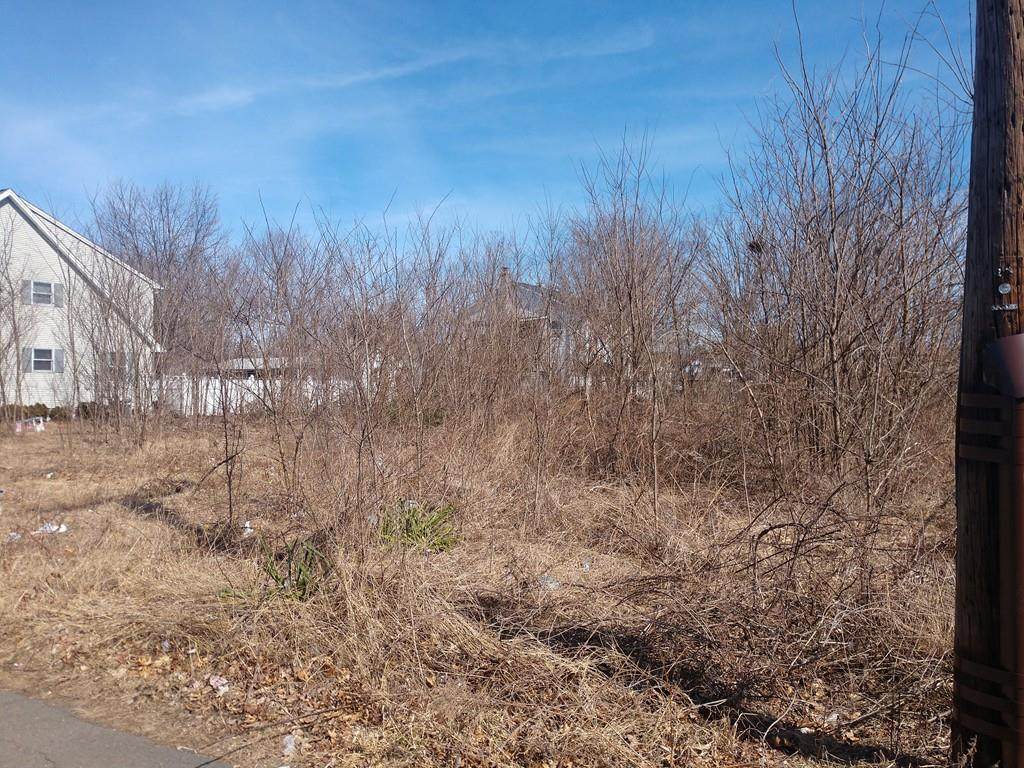 0 Cedar Street - Photo 1