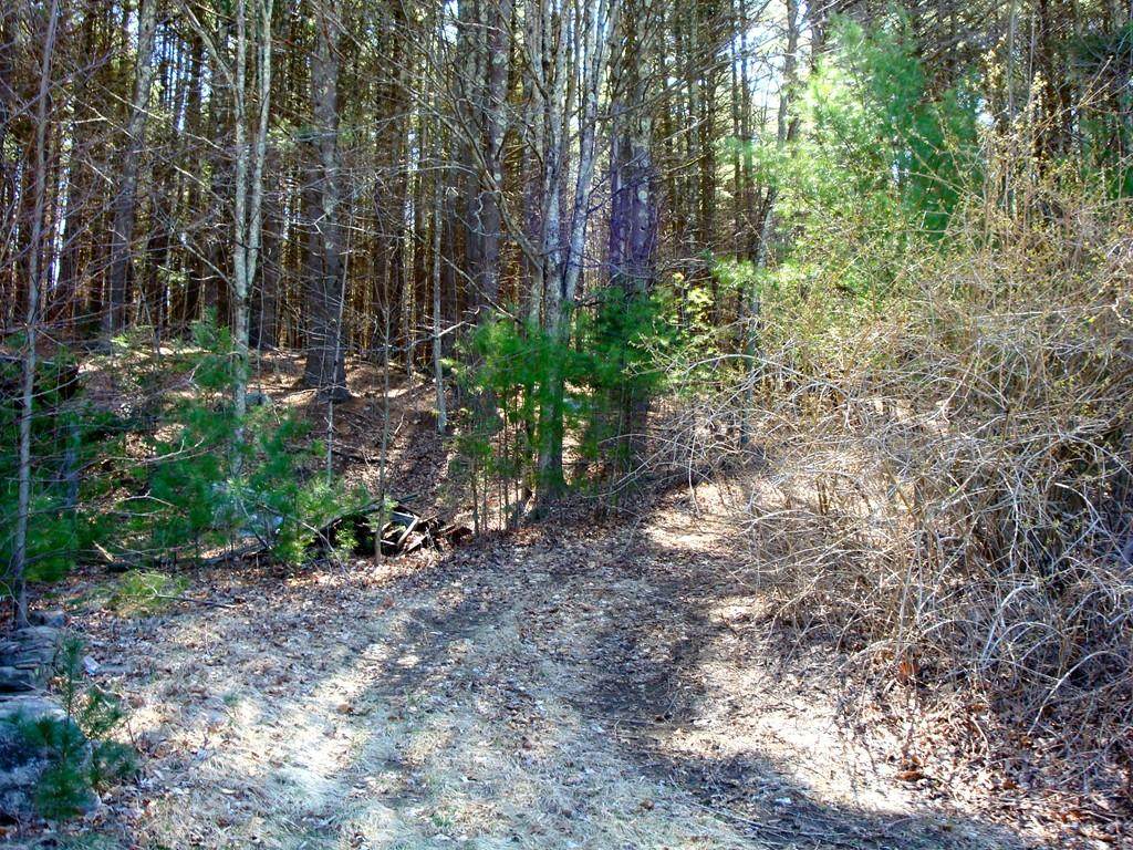Lots 1 & 2 Harrington Road - Photo 1