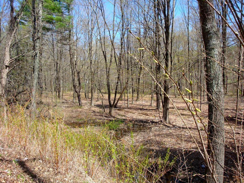 Lot 5W Harrington Road - Photo 1