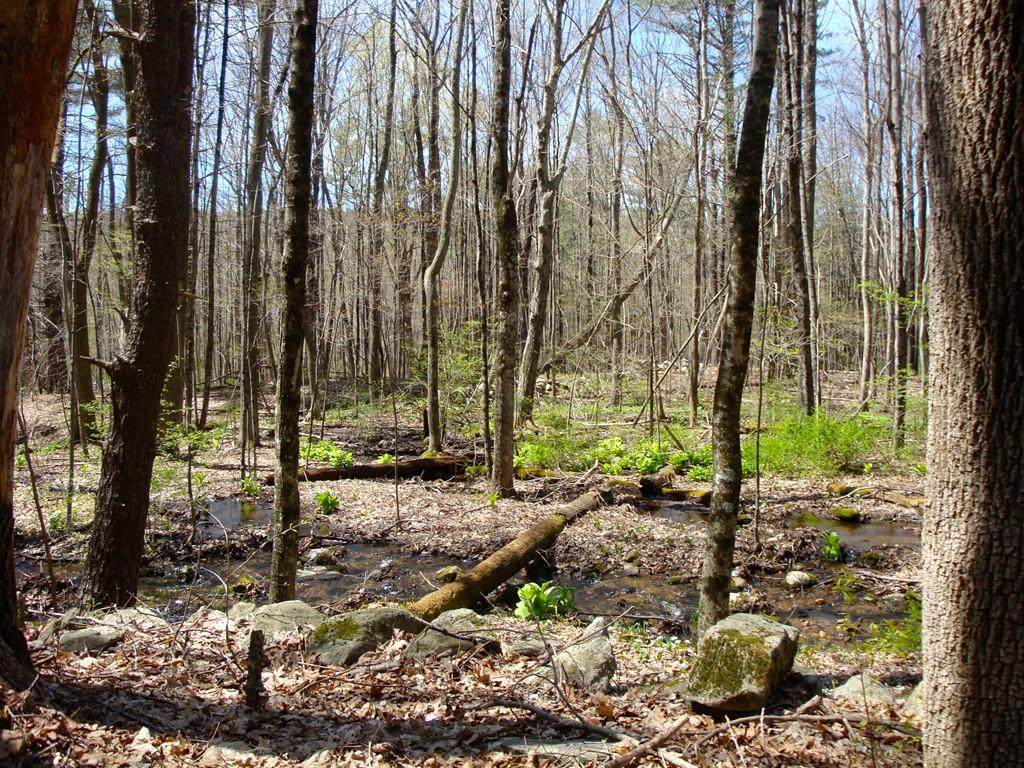 Lot 6W Southbridge Rd - Photo 1