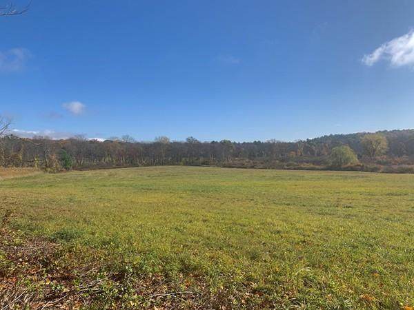 315 Amherst Rd. - Photo 1