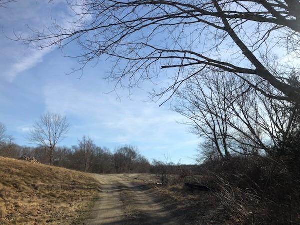0 Sharps Lot Road - Photo 1