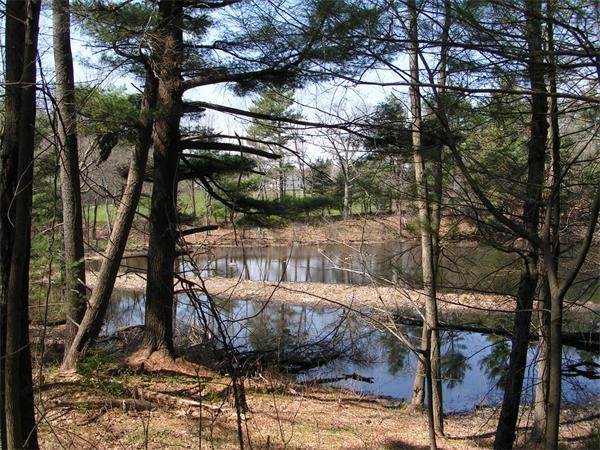 0 Ayer & Old Mill Road - Photo 1
