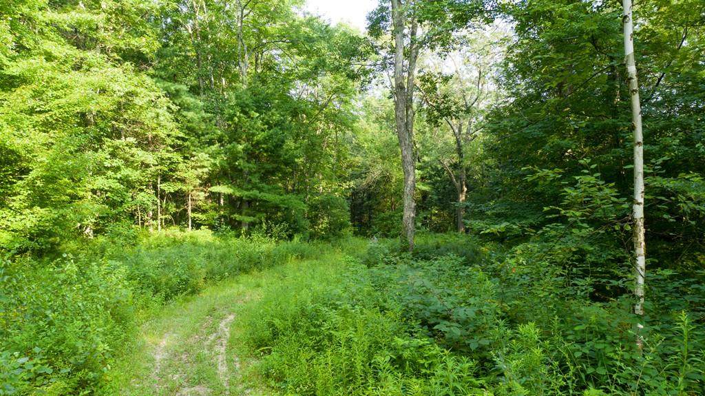Lot 1 Old Gilbertville Rd. - Photo 1