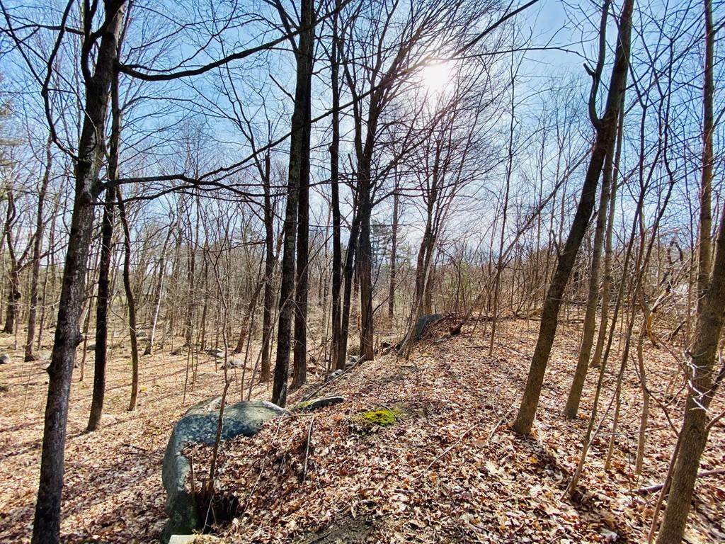 Lot 6 Woodland Cir - Photo 1
