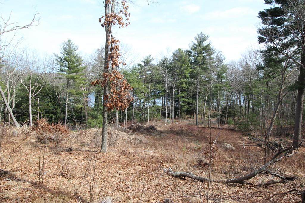 LOT 69F Lake St - Photo 1