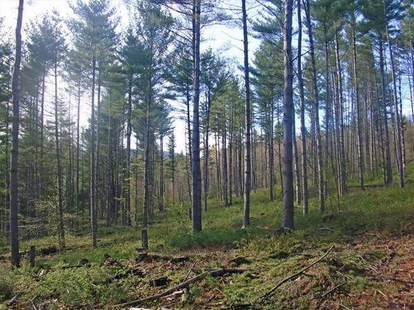 0 Middle Road Lot 2 - Photo 1