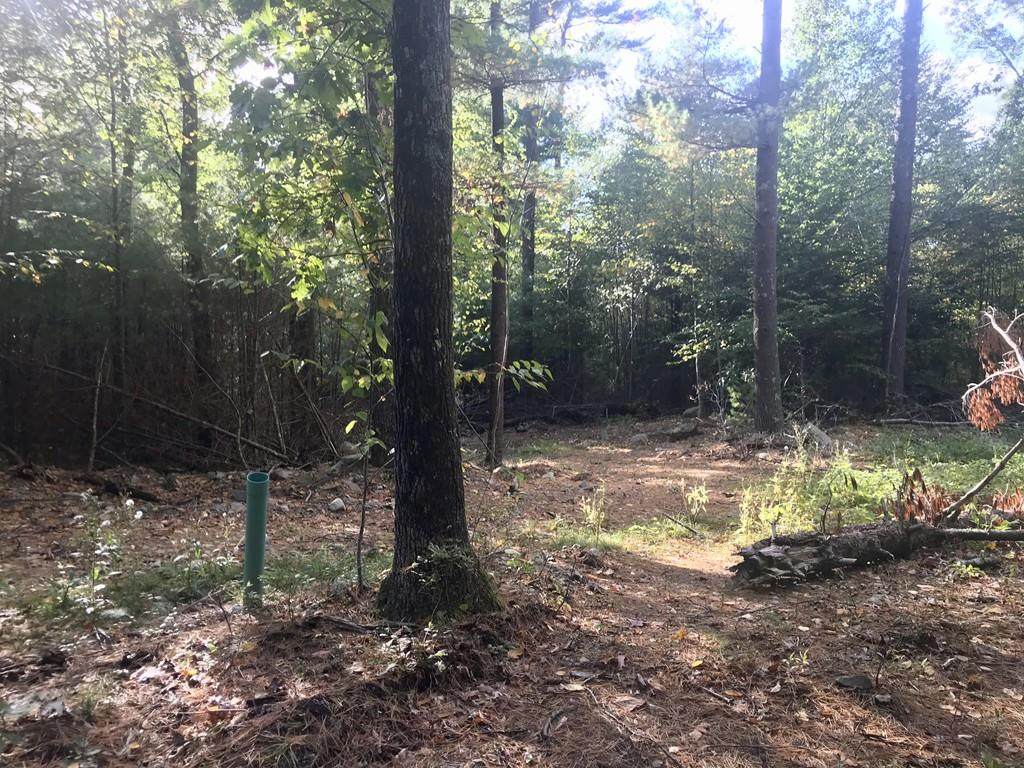 Lot 1 Oak St - Photo 1