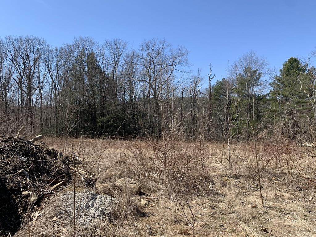 Lot 13 High Rocks Estates - Photo 1