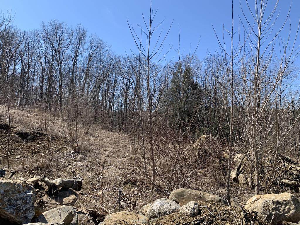 Lot 5 High Rocks Estates - Photo 1