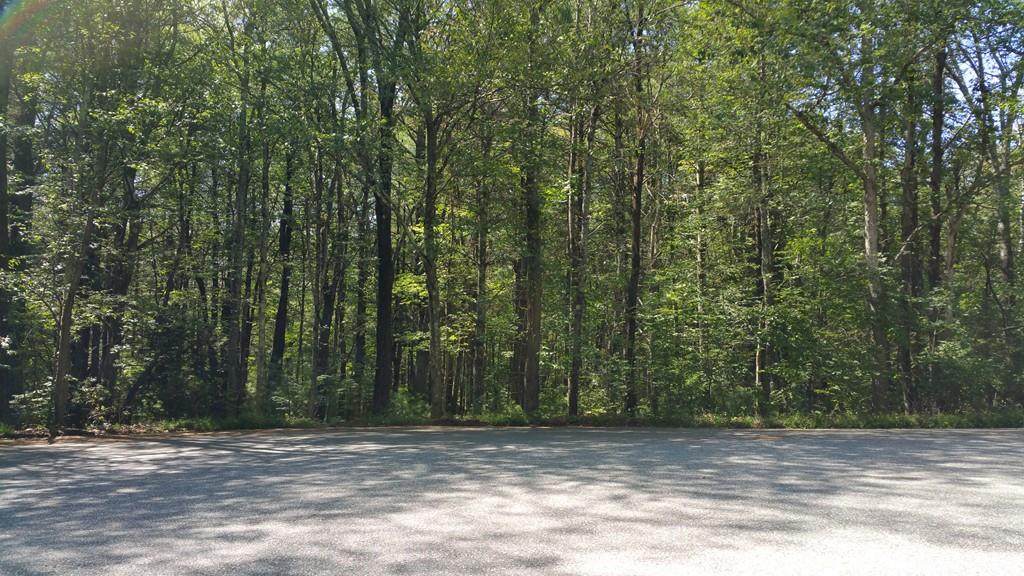 53 Hillside Dr - Photo 1