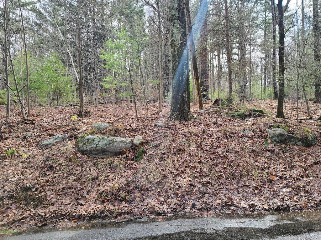 Lot 3 Washington St - Photo 1