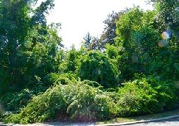 115 Cabot - Photo 1